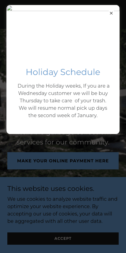 Big Mountain Disposal old homepage, mobile